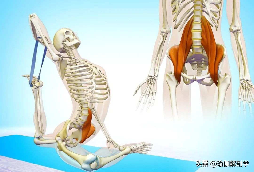 拉伸髂腰肌的瑜伽体式,久坐的人如何拉伸髂腰肌