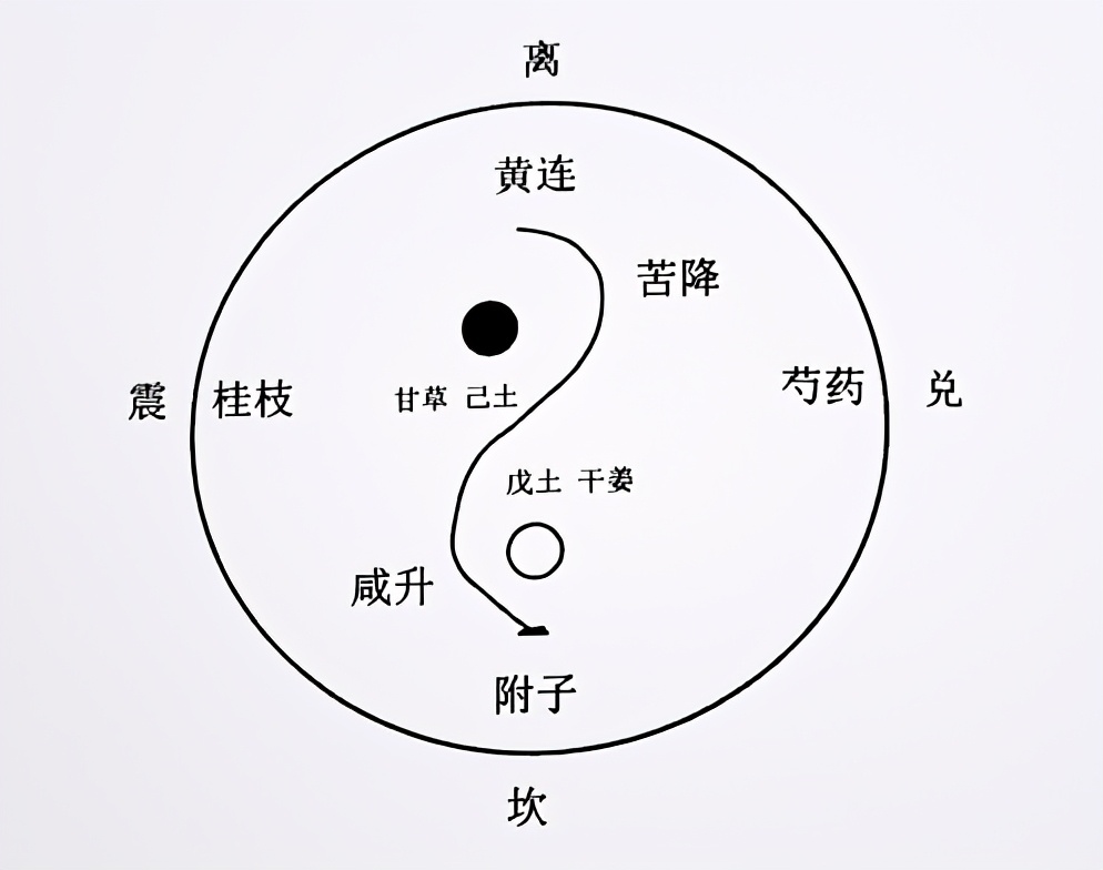 张仲景伤寒论第48讲,谢国仲简介