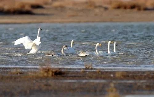 来感受大西北的异域风情,领略一下西北风情