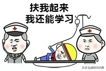 转发给爸妈：养猫到底有啥好？能治病