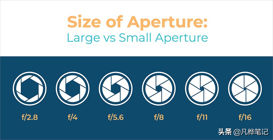 学习摄影知识入门看哪本书,摄影基础知识光圈