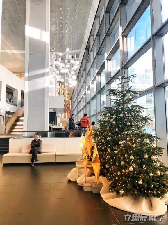 去德国留学都需要什么条件,德国留学必买物品