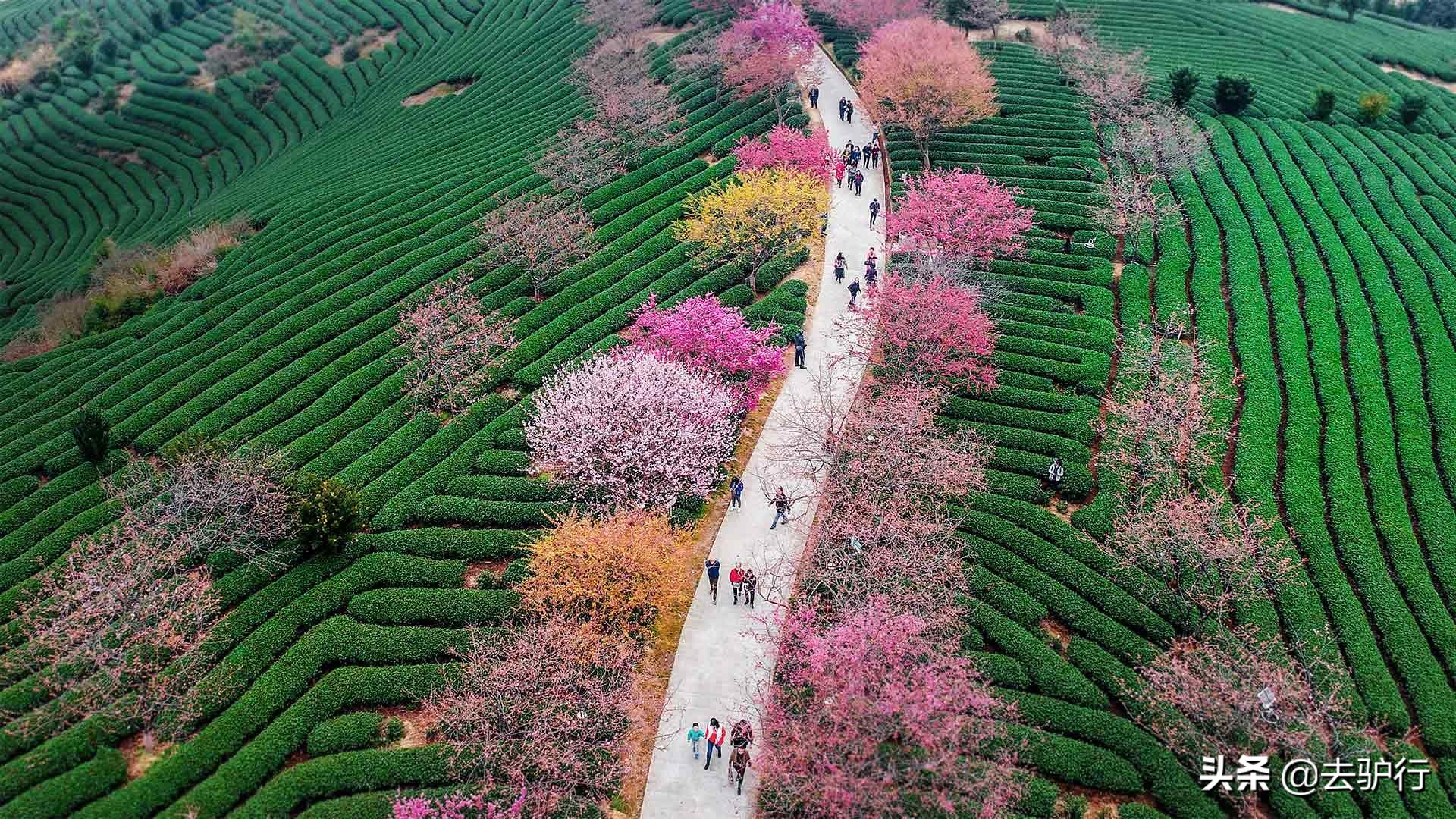福建龙岩经济落后吗,福建龙岩靠什么发展