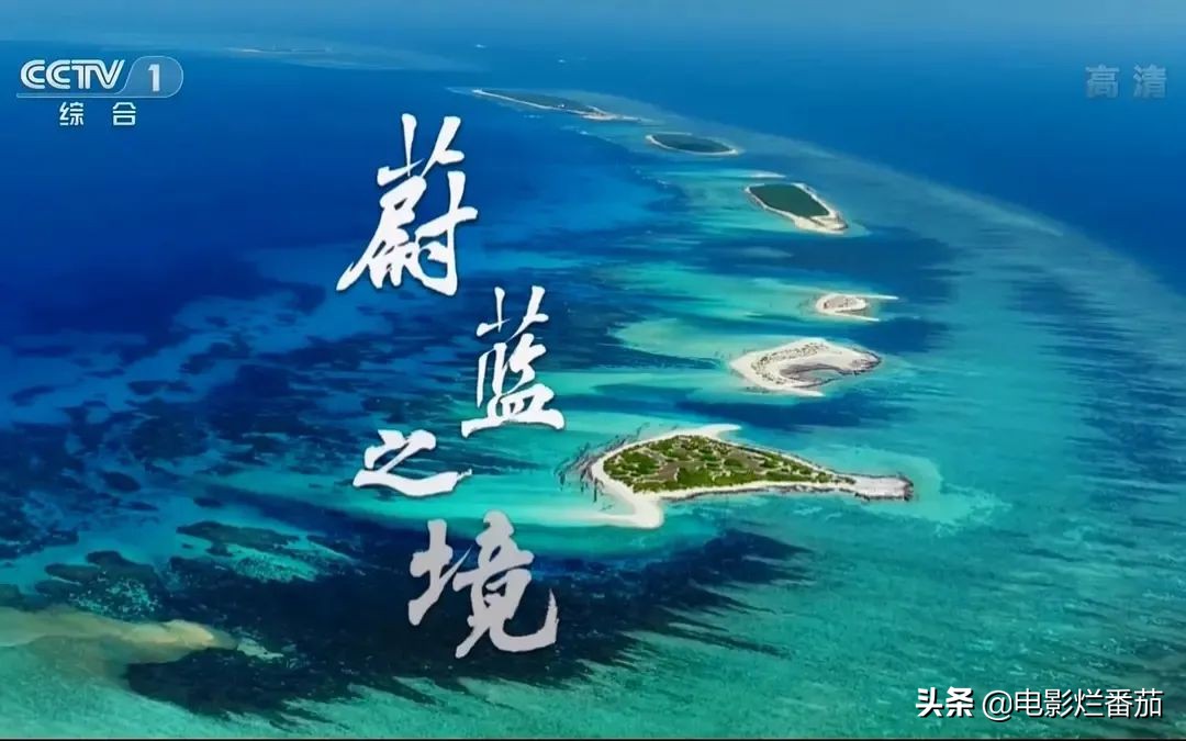 这几部值得珍藏的电视剧,十大必看的国产纪录片