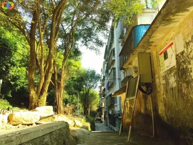 从平安路到桃园路的旧街，独属于老香洲的记忆