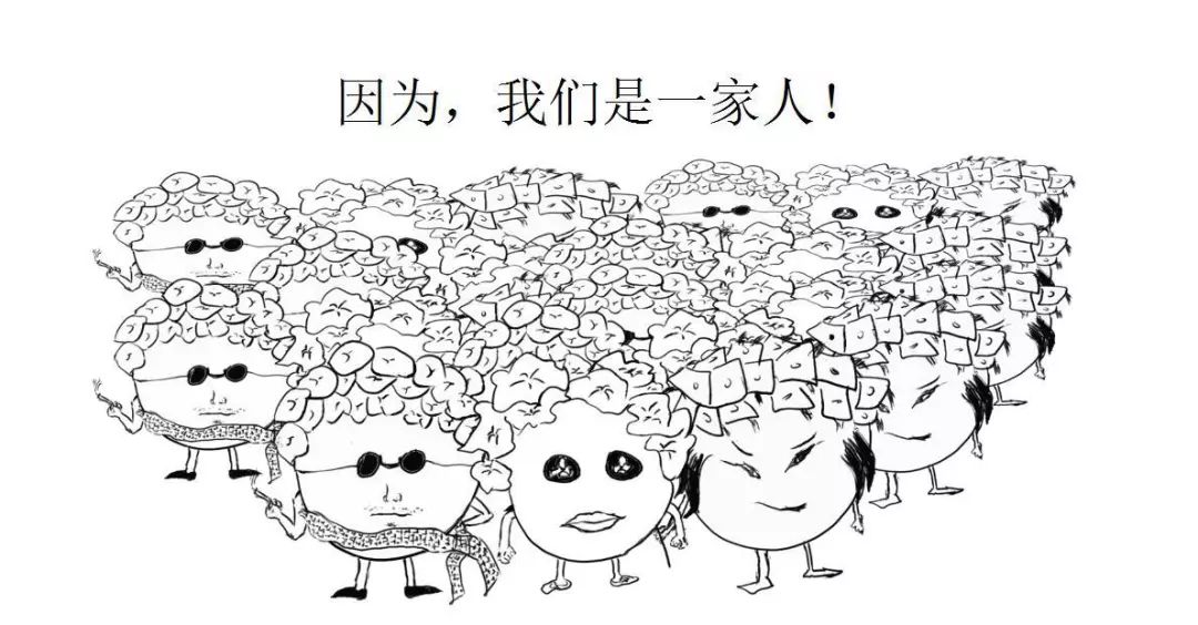 hpv低级病变可以备孕吗,Hpv感染及宫颈癌预防