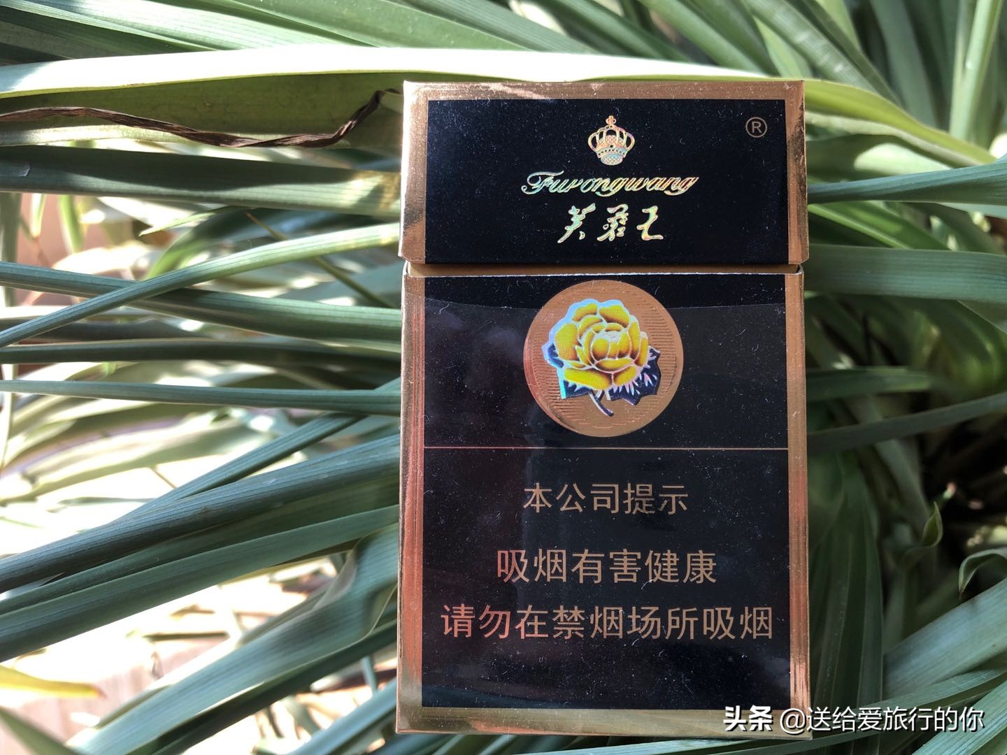 一支香烟,一支香烟英文