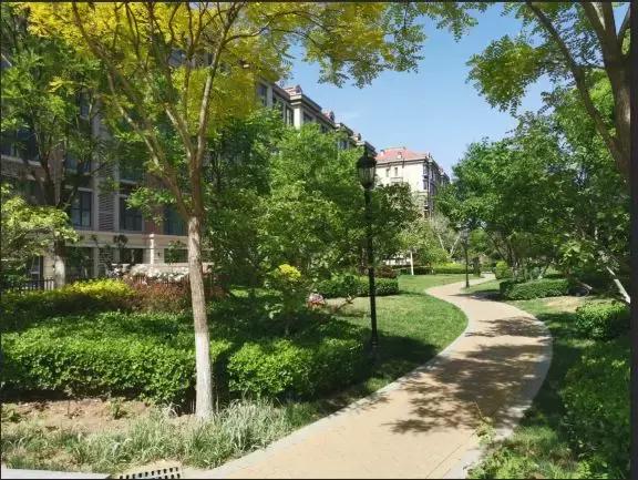 关于龙湾城片区院长这么说，附带优质社区踩盘，你们猜猜是哪里？