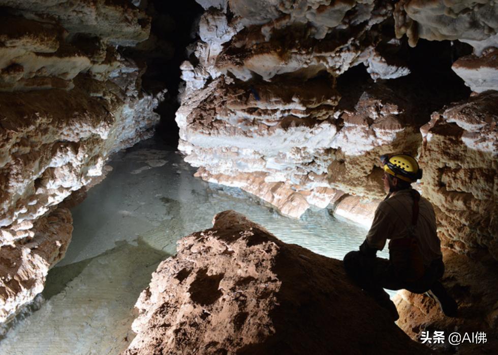 美国最受欢迎的五个州,美国最受欢迎的景点排行榜