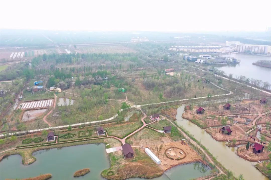 一个心灵的栖息地——游冠县马颊河生态旅游度假区有感