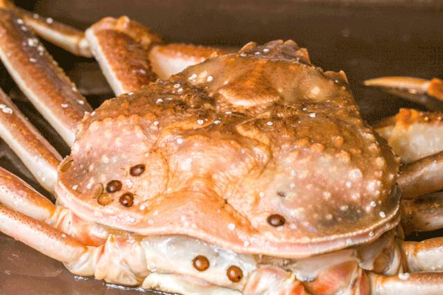 航母海鲜自助,陆家嘴自助帝王蟹