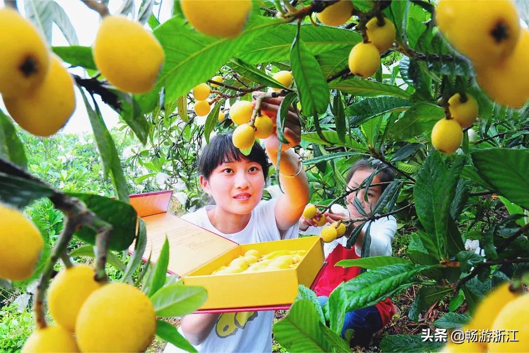 普吉岛到底是什么样的地方,世界级海岛普吉岛