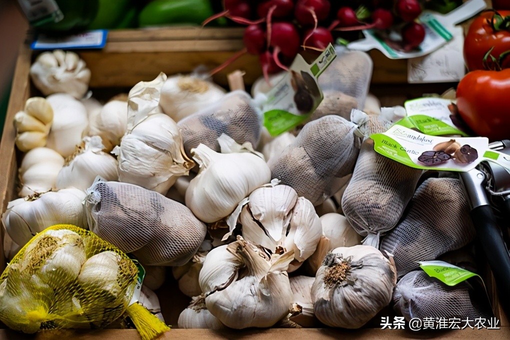 炒作大蒜是不是风险很大,炒作大蒜被判刑