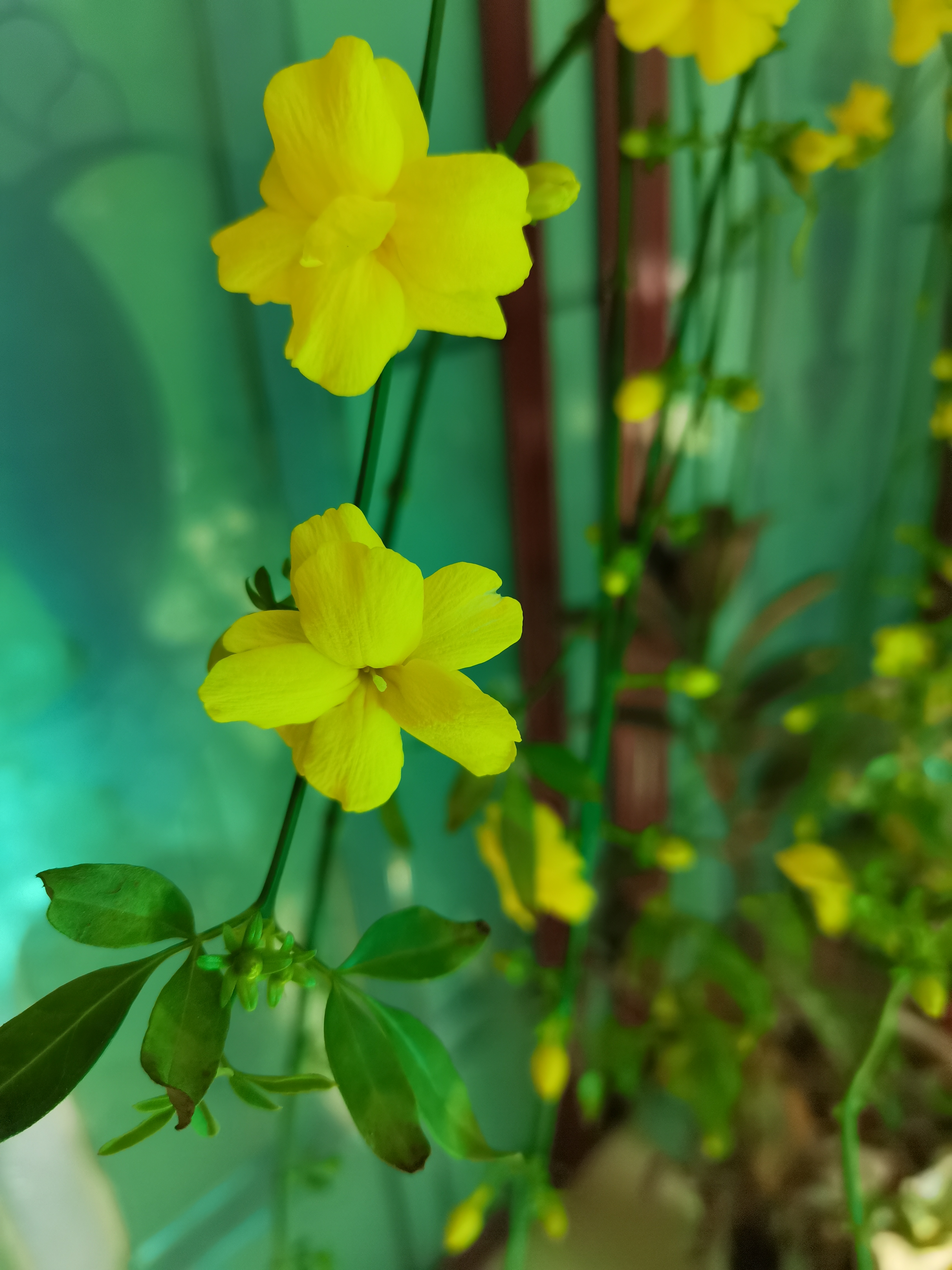 急性心梗一般住院多久,65岁急性心梗