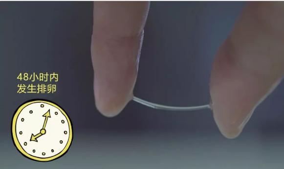 白带意味着排卵吗,白带拉长丝是排卵已经结束了吗
