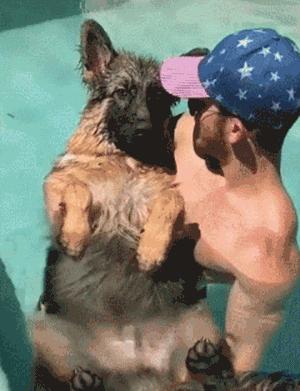 德国牧羊犬凶悍,德国牧羊犬高大威猛