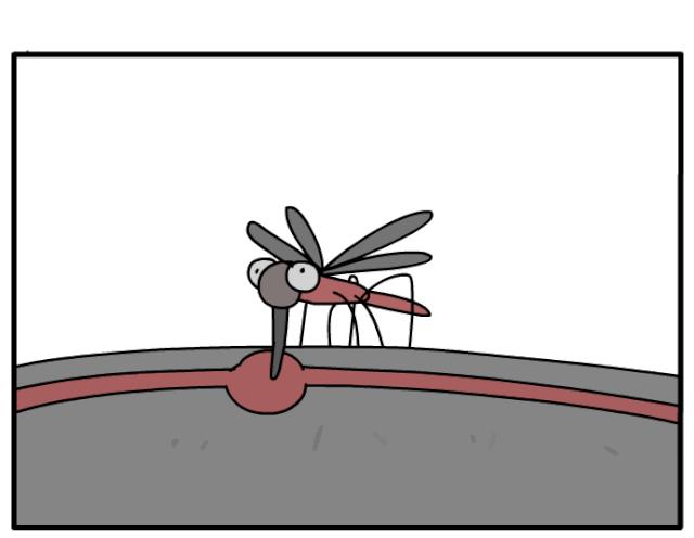 家中蟑螂怎么消灭最彻底,灭蟑王药是怎样消灭蟑螂的