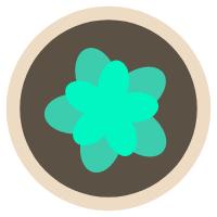 玉露闷养的方法和步骤,玉露闷养最佳温度