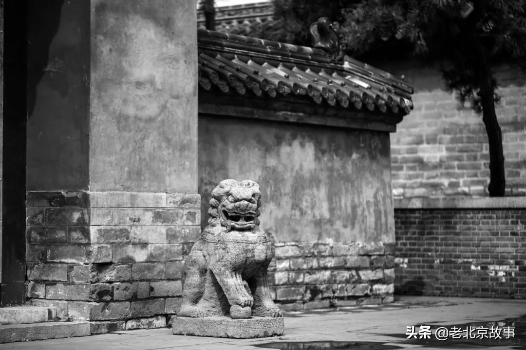 北京最具书香气息的小学,北京儿童最有名的学校