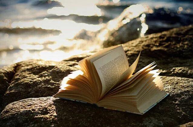 五分钟解读《写好前五十页》第1部分，带你走进编辑的内心