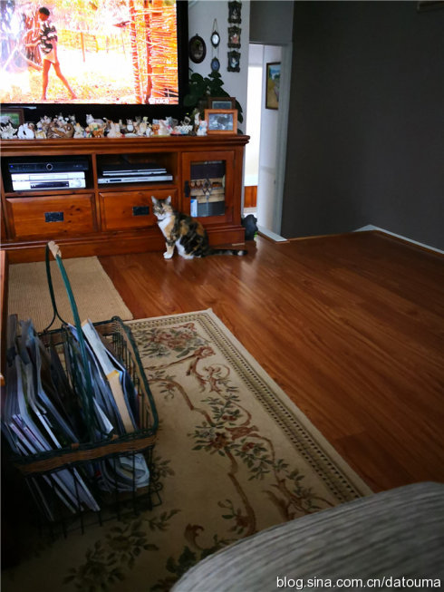 在新西兰你活得多自在,新西兰成功治好了我的焦虑