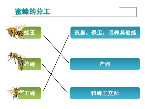 认知边界：我们无法看见真实的世界，我们只能看见自己的世界