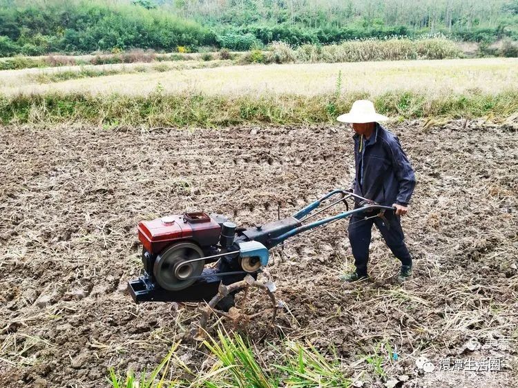 最美大浪山脚下蜂洞冲随州作者:王从伦
