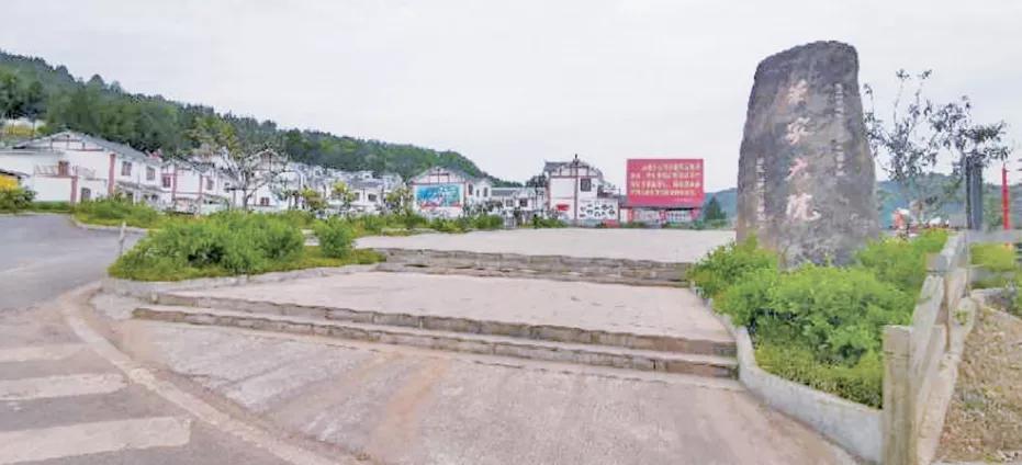 广元这个“空壳村”有了瓤，桑葚汁卖到中东