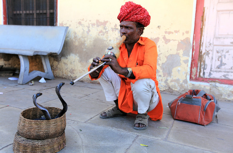 亲历西方极乐世界的故事,印度的真实生活记录