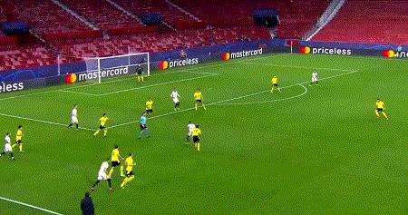 巨龙困斑马，黄蜂覆脸盆