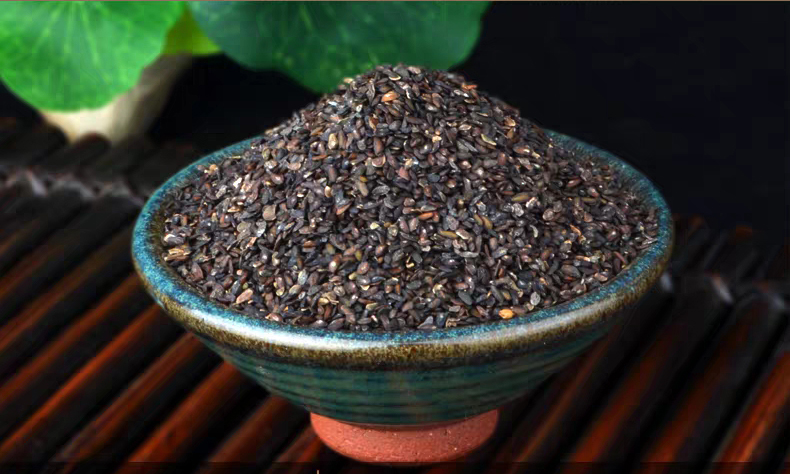 路边的野草是个宝,不起眼的野草车前草