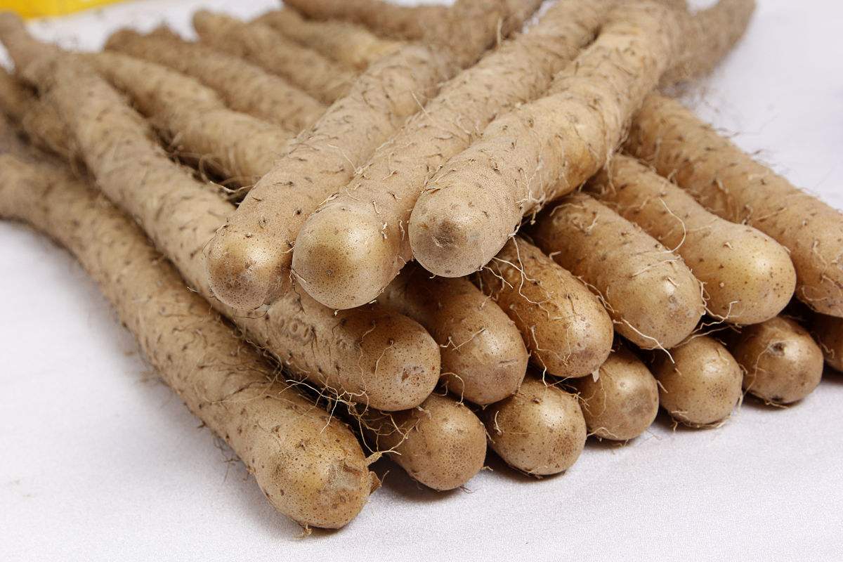 做到这4点是关键,哺乳期乳汁怎么提高