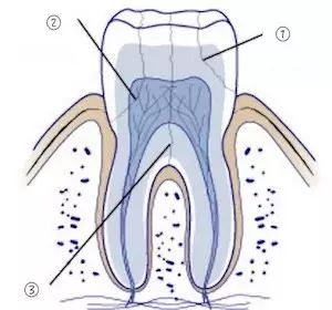 牙齿隐裂会裂到牙根吗,牙齿隐裂一定要拔牙吗