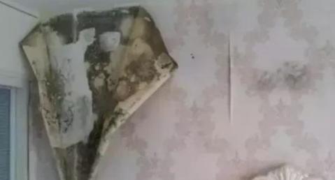 墙面返潮的原因及解决办法,墙面返潮彻底解决方法