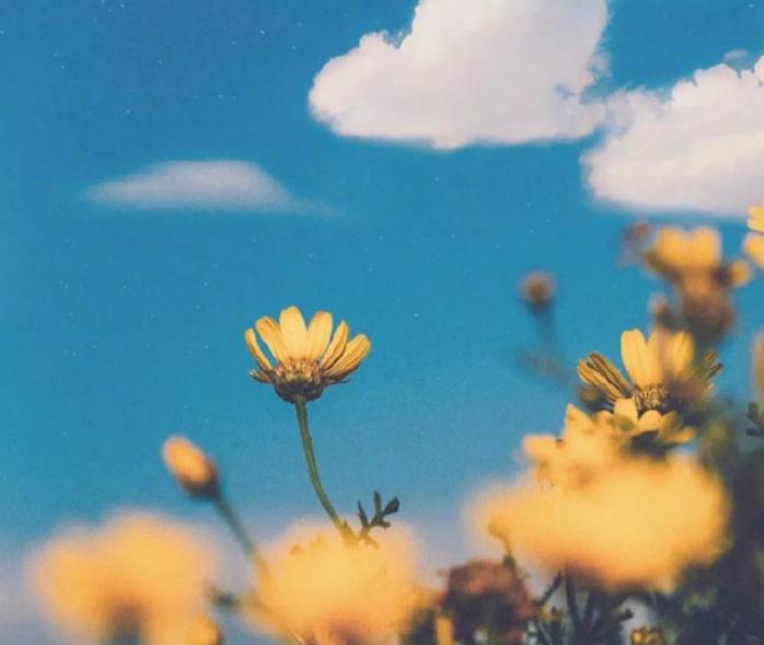 十个小技巧克服害羞,12个技巧帮助你克服害羞