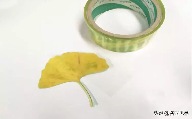 可爱又简单帅气的树叶手工,树叶创意手工高难度