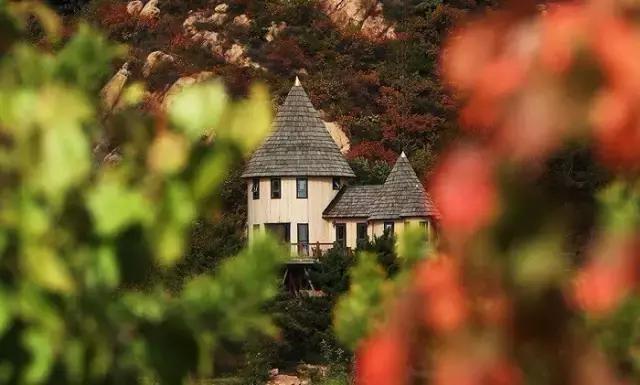 特色树屋民宿度假屋设计方案,很有创意的木屋