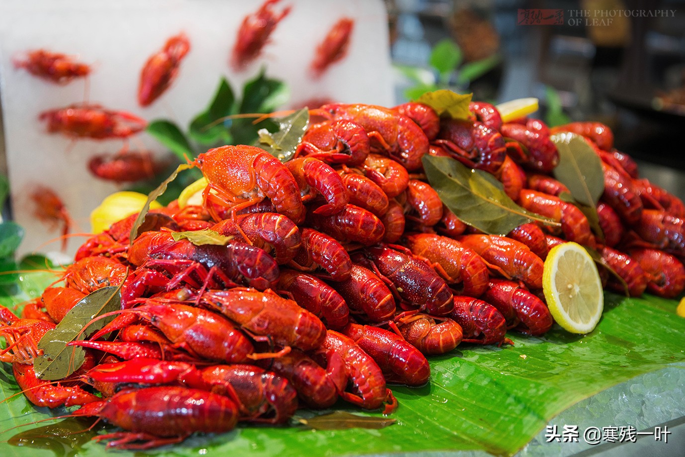 上海小龙虾自助15种口味,只要69元就可以随便吃小龙虾