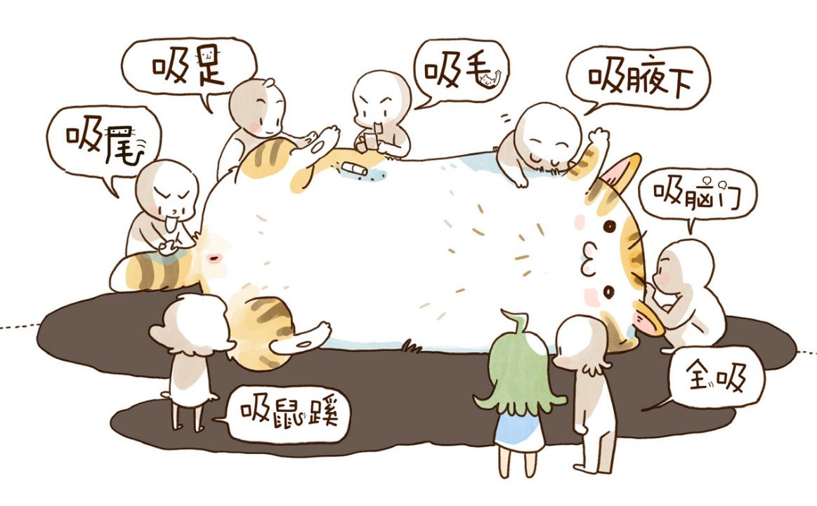 为什么不建议买东北猫,辟谣不同国家的土猫