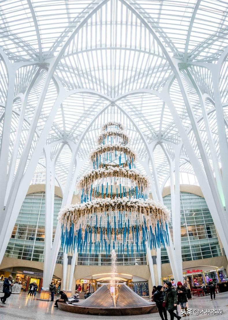 加拿大多伦多生活日记,加拿大多伦多留学生活纪实