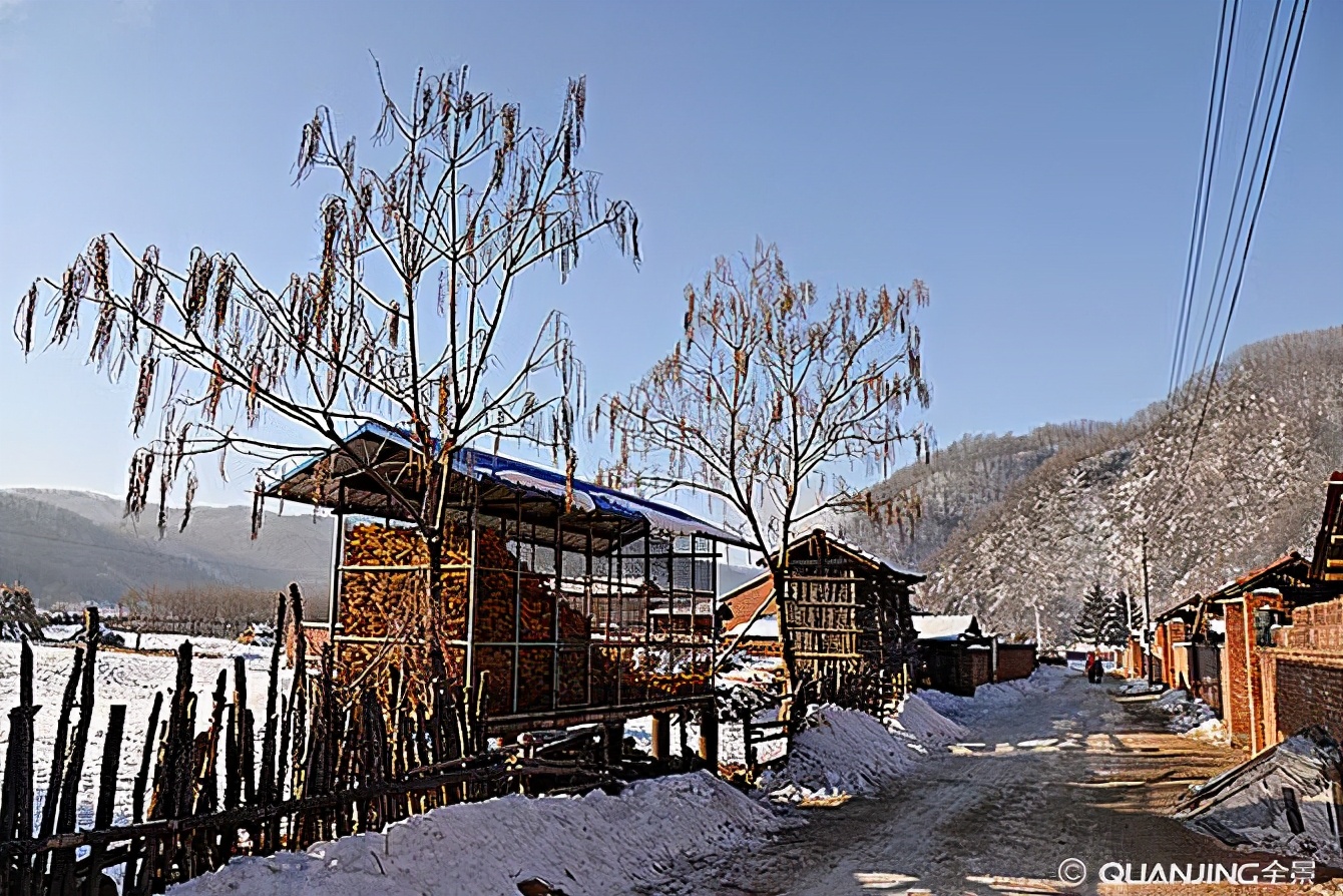 北国的冬天格外冷，它们也同样需要棉衣