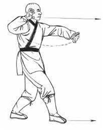 鹰抓鸟全过程,鹰爪的用法