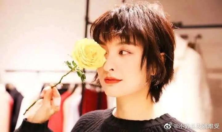 乘风破浪的姐姐们侧颜照,乘风破浪姐姐们美图