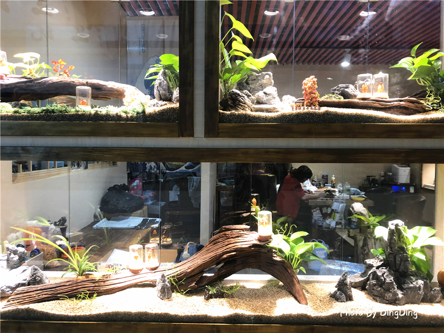 潘家园是中国最大的古玩市场吗,国内艺术品市场潘家园