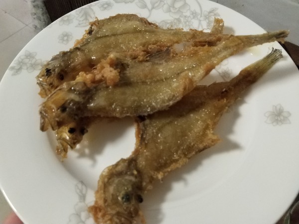 这小鱼以前用来喂鸭子，现在“一金难求”，最贵时一斤卖30元