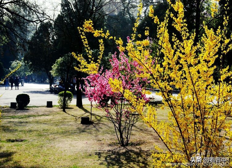 山西农大美丽的校园,山西农大校园风光