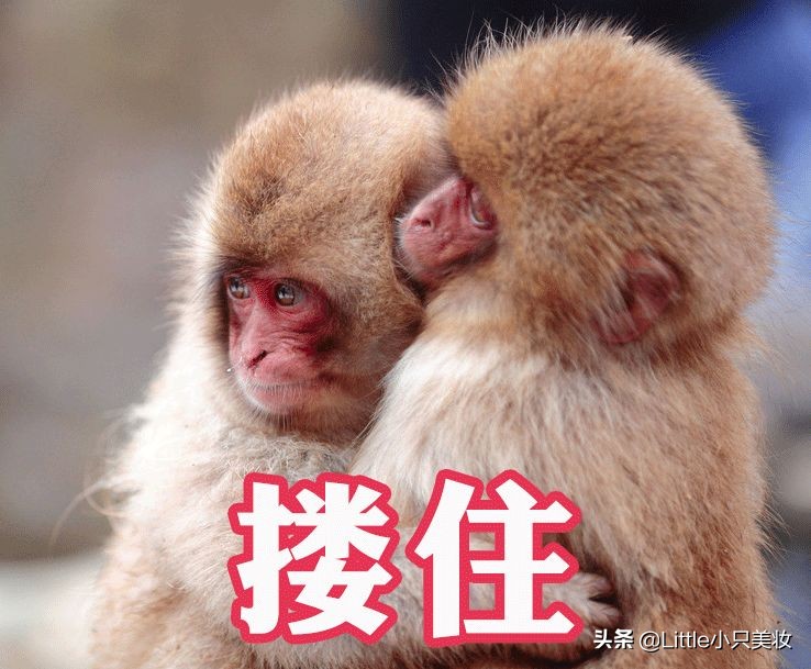 消费降级护肤品推荐,消费降级护肤面霜