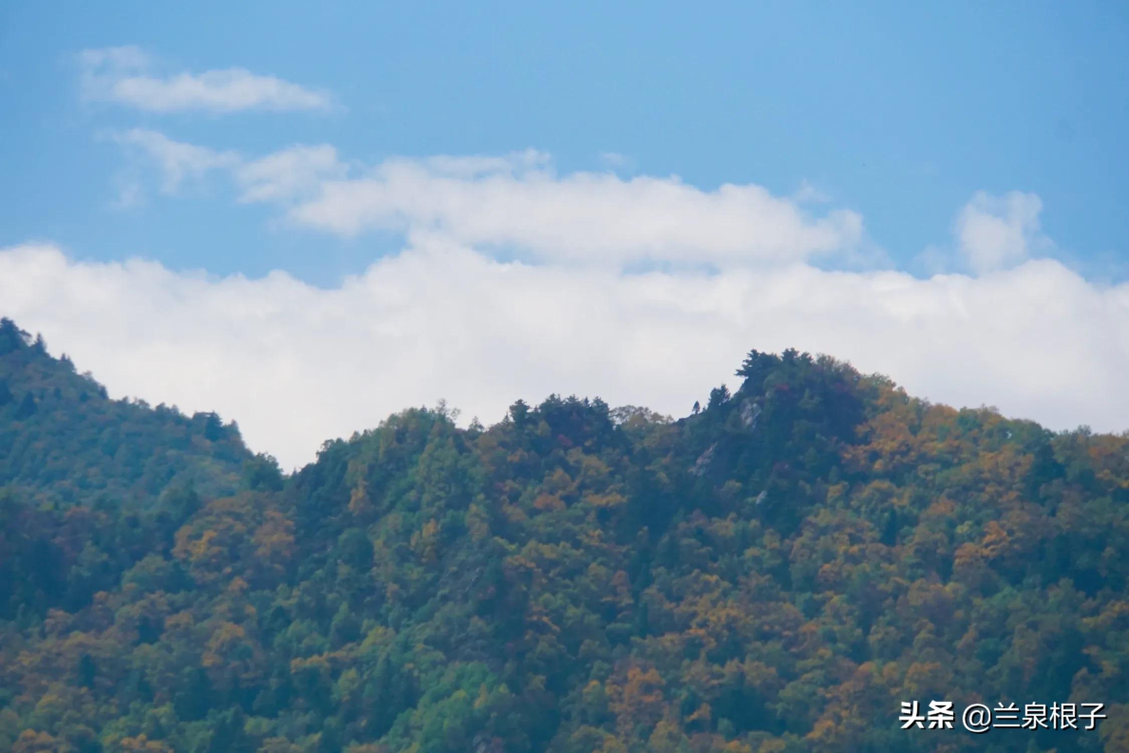 秋日之旅旅游攻略,秋日自驾游视频