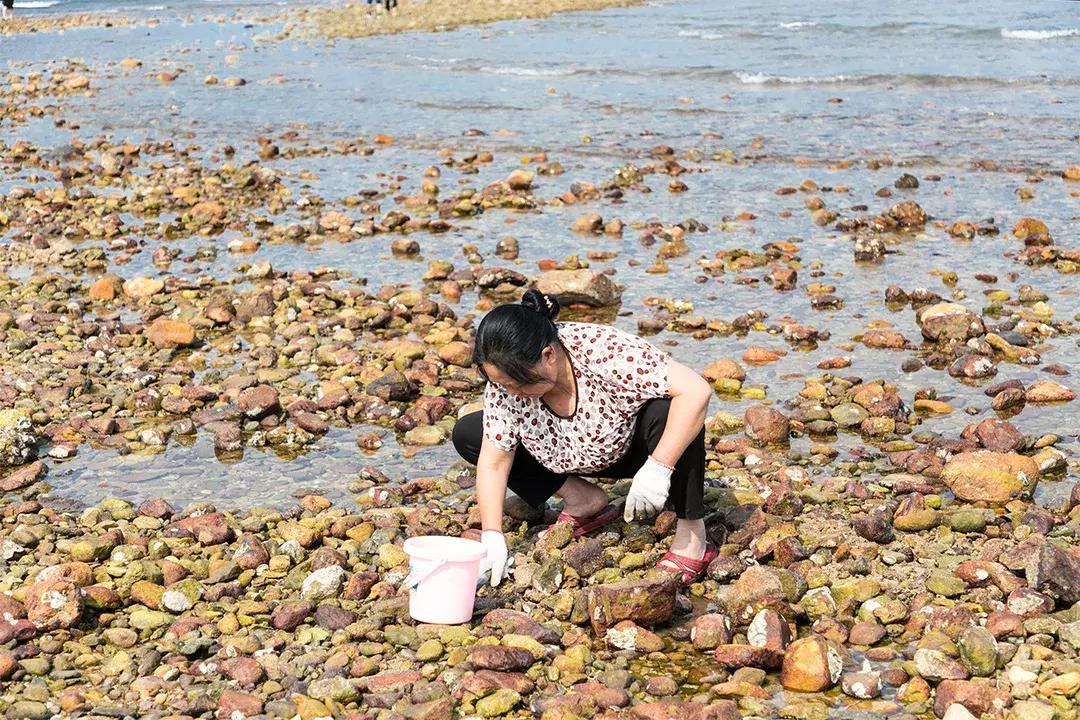 大鹏杨梅坑景区,杨梅坑旅游景点