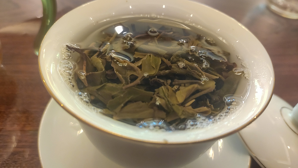 今大福班章大白菜评测,班章大白菜2021怎么样